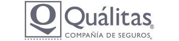 Qualitas logo limitlezz Qualitas logo limitlezz