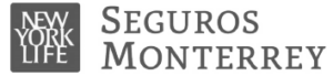 Seguros Monterrey Logo Limitlezz