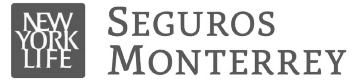 Seguros Monterrey Logo Limitlezz Seguros Monterrey Logo Limitlezz